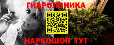 шишки Туймазы