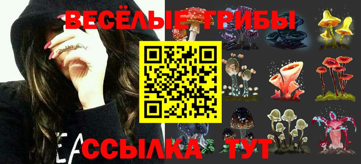 наркотики  Вход с VPN  Находка  Псилоцибиновые грибы GOLDEN TEACHER 